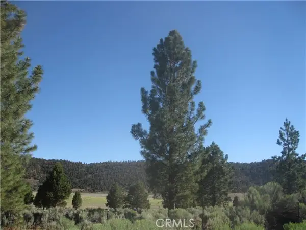 2805 Cedar Lane, Big Bear City, CA 92314