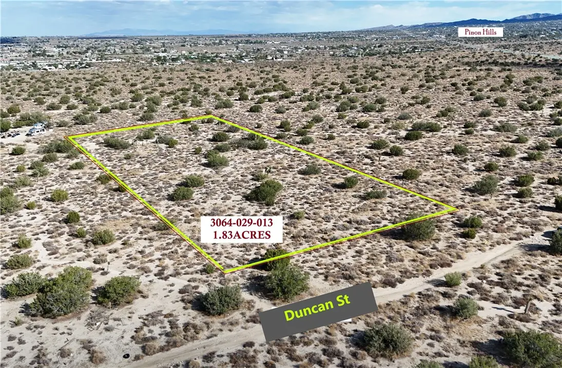 0 Duncan Road, Llano, CA 93544 - #1