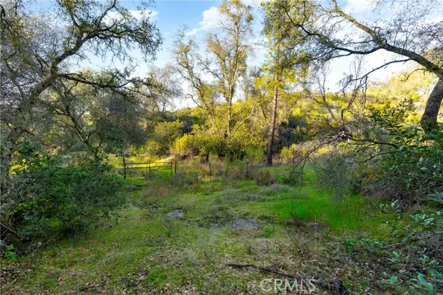 1 Ridgeview Circle, Sutter Creek, CA 95685 - #2