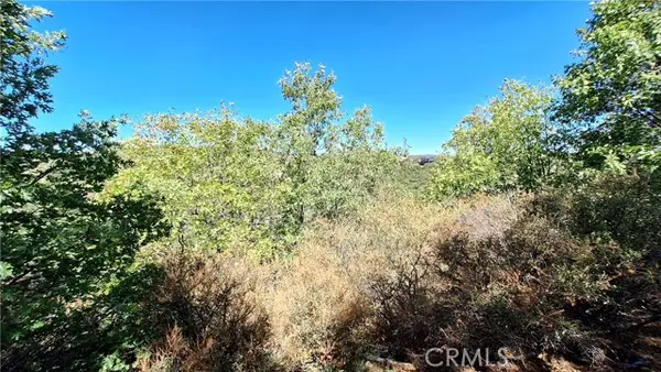 0 Coulter, Cedar Glen, CA 92321