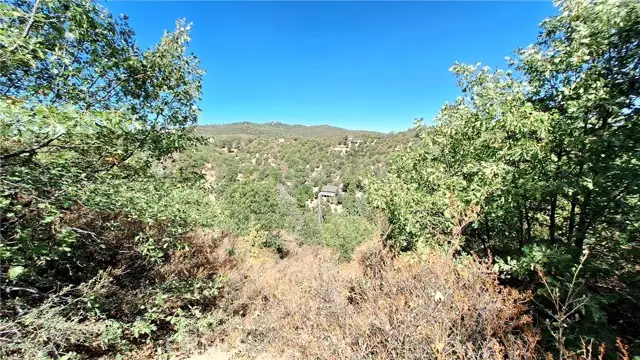0 Coulter, Cedar Glen, CA 92321 - #2