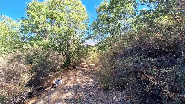0 Coulter, Cedar Glen, CA 92321 - #3