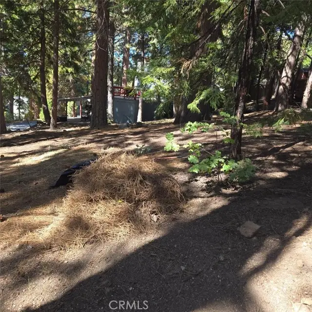 31492 Inspiration, Running Springs, CA 92382 - #1