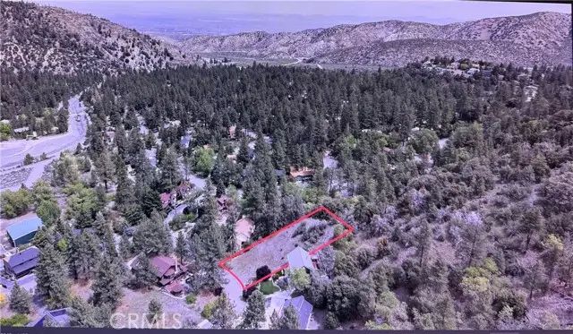 5411 Shirley J, Wrightwood, CA 92397 - #2