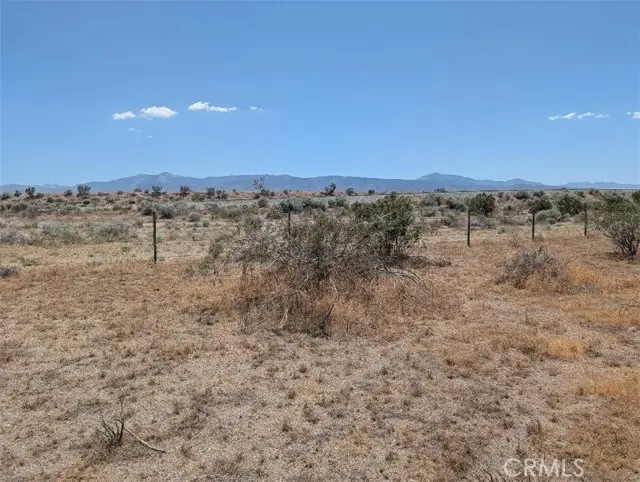 4 Avenue Xave #X2, Llano, CA 93544 - #1