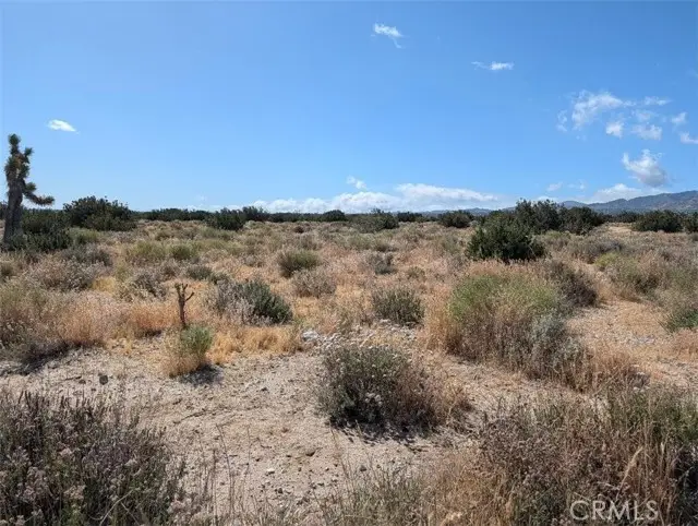33 Antelope, Llano, CA 93544 - #1