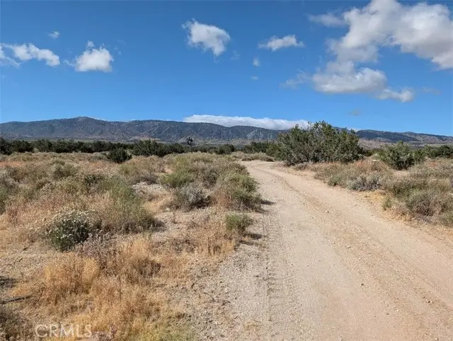 33 Antelope, Llano, CA 93544 - #3