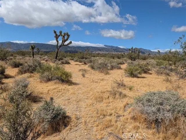 27 248th, Llano, CA 93544 - #1
