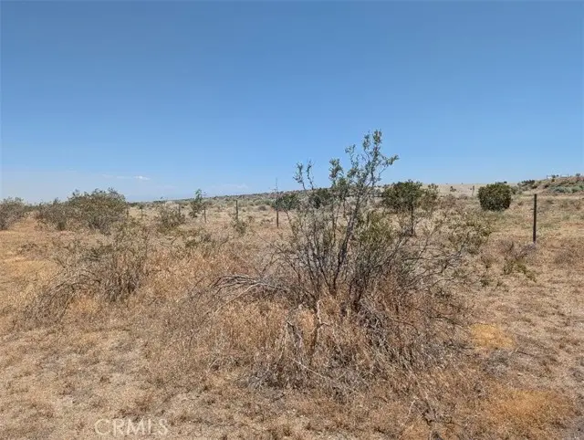 27 248th, Llano, CA 93544 - #3