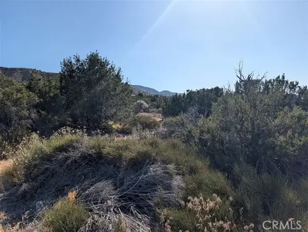 8 Mountain Road, Pinon Hills, CA 92372