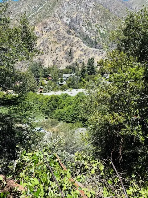 955 San Antonio Creek, Mount Baldy, CA 91759 - #3