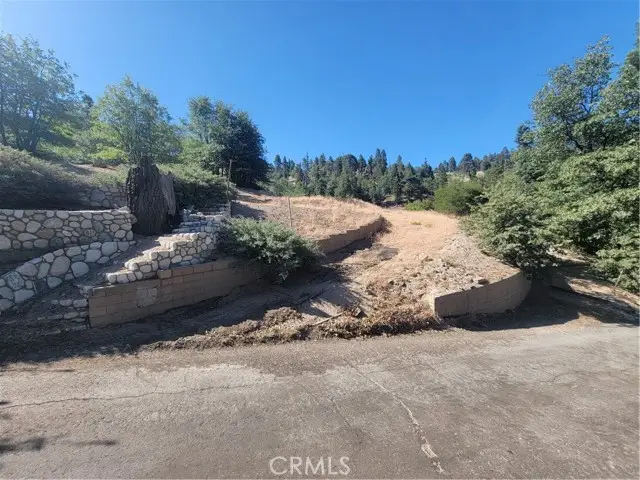 33345 Angeles, Green Valley Lake, CA 92341 - #3