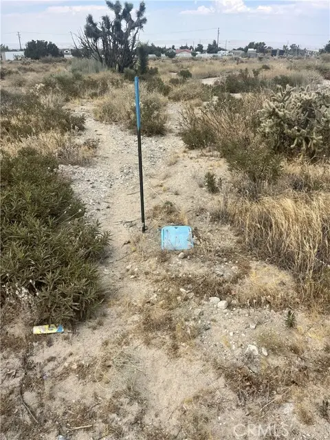 0 Hollister Road, Phelan, CA 92371 - #1