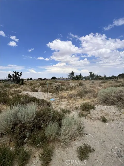 0 Hollister Road, Phelan, CA 92371 - #3