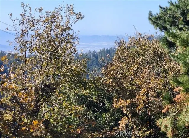 900 Lo Lane, Twin Peaks, CA 92391 - #3