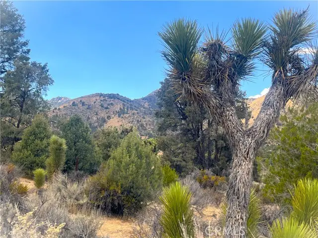 0 Pine Hollow Rd., Onyx, CA 93255 - #2