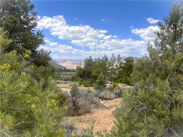 0 Pine Hollow Rd., Onyx, CA 93255 - #3