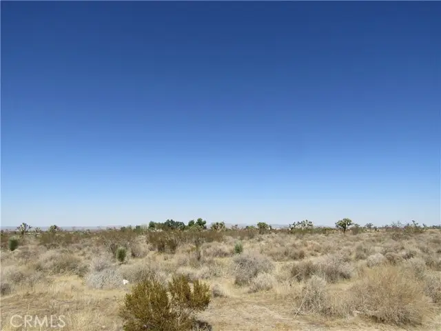 0 Madera Rd, Pinon Hills, CA 92372 - #1
