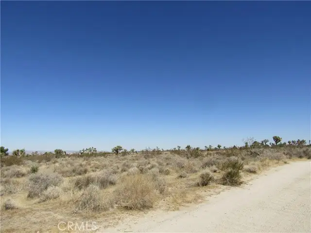 0 Madera Rd, Pinon Hills, CA 92372 - #2