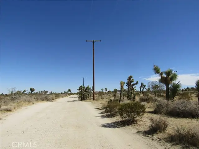 0 Madera Rd, Pinon Hills, CA 92372 - #3