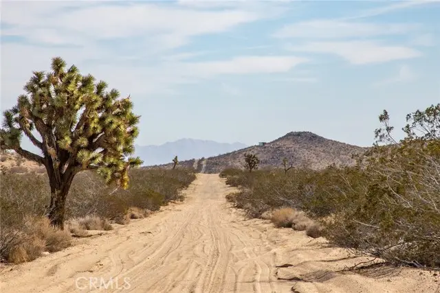 58300 Luna Vista Lane, Twentynine Palms Yucca Valley, CA 92284 - #1