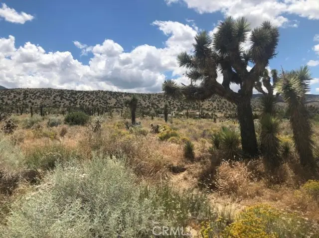 0 Vac/Pearblossom Pav /Vic 160 S, Palmdale, CA 93591 - #1