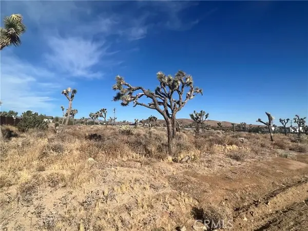 111 Wallaby, Yucca Valley, CA 92284