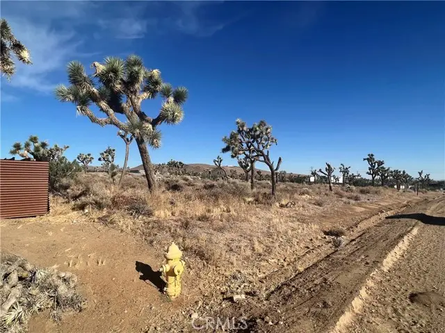 111 Wallaby, Yucca Valley, CA 92284 - #3