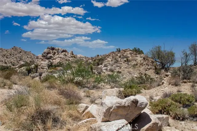 60300 Mountain Trail, Joshua Tree, CA 92252 - #3