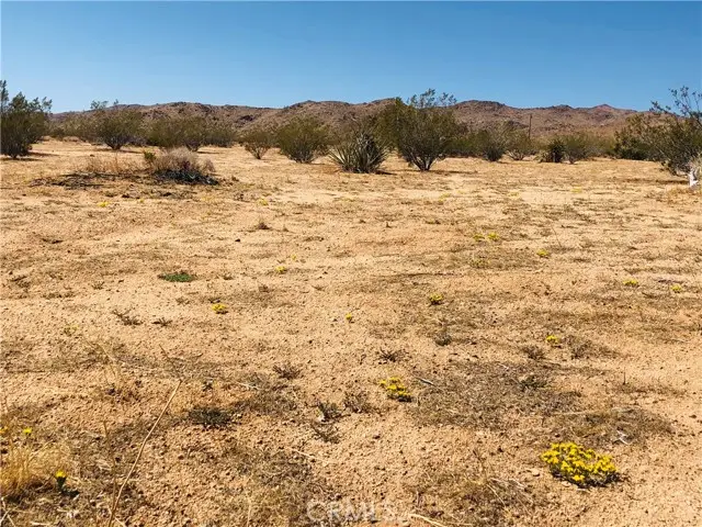 2 Geronimo Trail, Landers, CA 92285 - #3