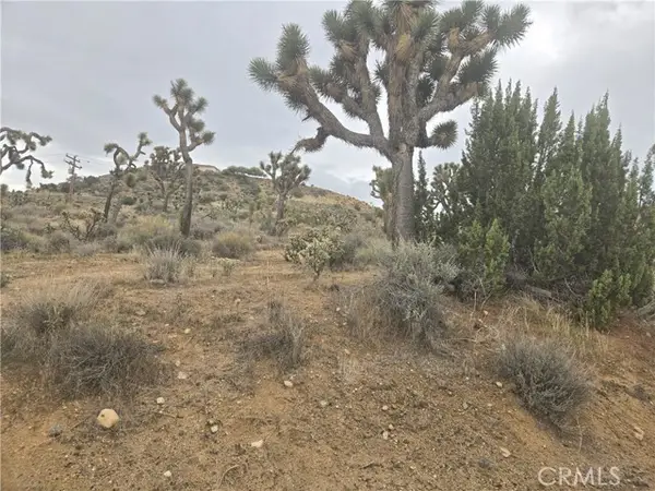 54763 Twentynine Palms Highway, Yucca Valley, CA 92284