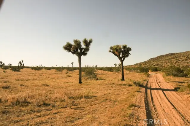 58459 Starlight Mesa Road, Yucca Valley, CA 92284 - #2