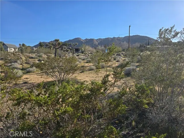 0 Morongo, Twentynine Palms Yucca Valley, CA 92277 - #3