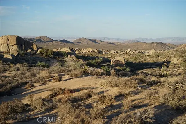 52588 Blackbrush Road, Pioneertown, CA 92268 - #1
