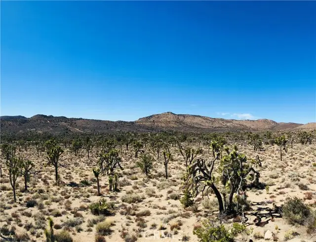 26 Vista Road, Lucerne Valley, CA 92356 - #3