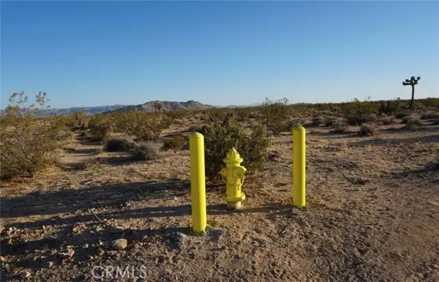2172 Conejo Avenue, Joshua Tree, CA 92252 - #2