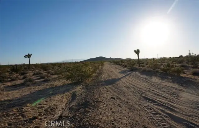 2172 Conejo Avenue, Joshua Tree, CA 92252 - #3