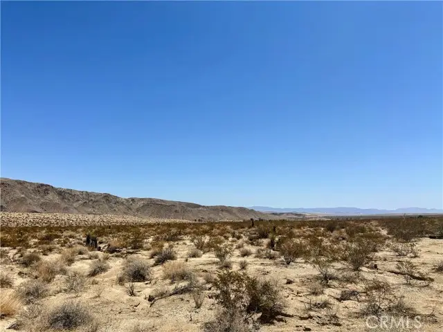 67000 29 Palms Highway, Joshua Tree, CA 92252 - #2