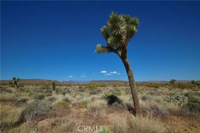 49 Aberdeen Drive, Yucca Valley, CA 92284 - #3