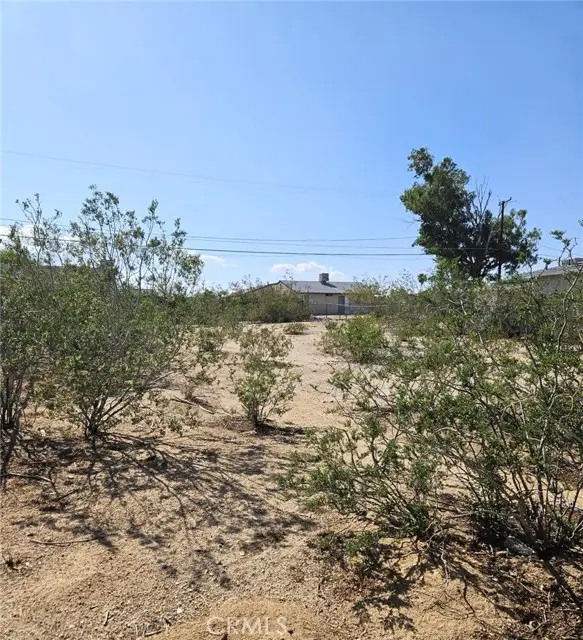 6350 Mojave Avenue, Twentynine Palms, CA 92277 - #3