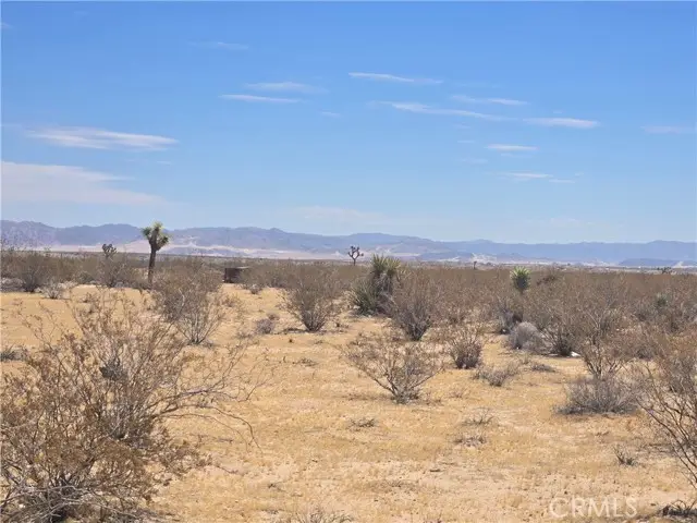 1577 Mcgarry Road, Joshua Tree, CA 92252 - #2