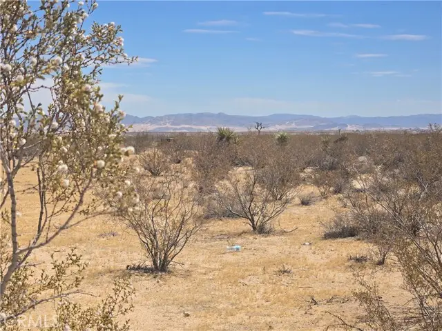 1577 Mcgarry Road, Joshua Tree, CA 92252 - #3
