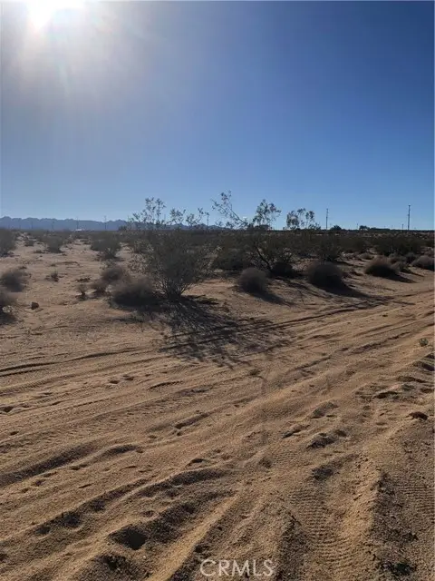 1 Pampas, Twentynine Palms Yucca Valley, CA 92277 - #1