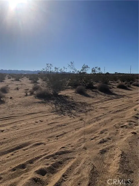 1 Pampas, Twentynine Palms Yucca Valley, CA 92277 - #2