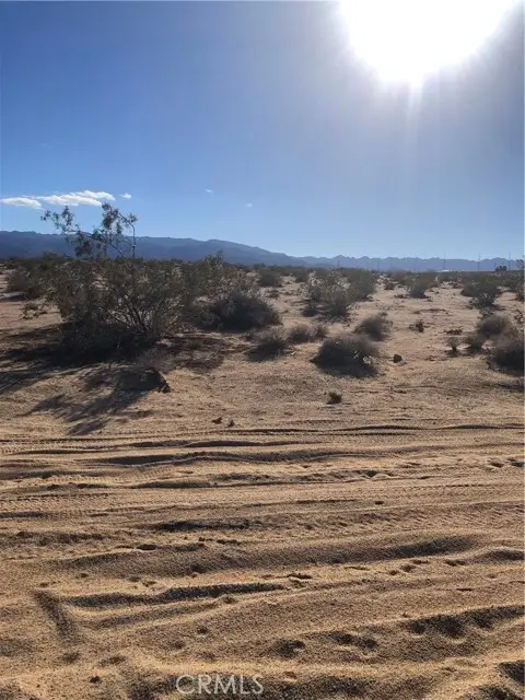 1 Pampas, Twentynine Palms Yucca Valley, CA 92277 - #3