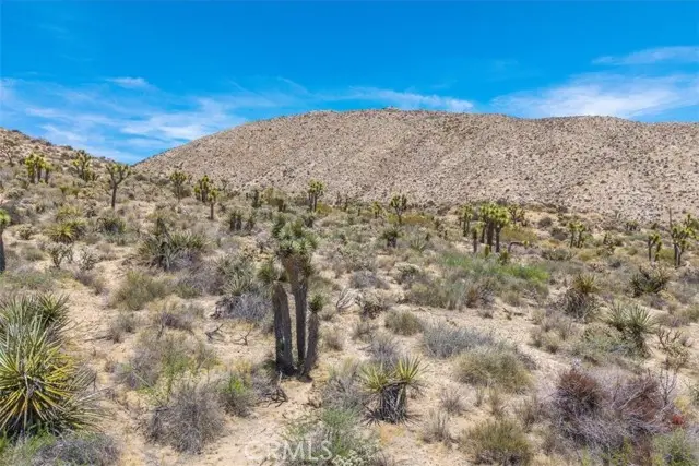 55652 Buena Vista Drive, Yucca Valley, CA 92284 - #1