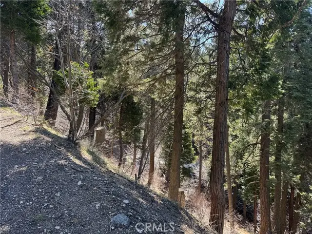 0 Sunderland Court, Lake Arrowhead, CA 92352 - #1