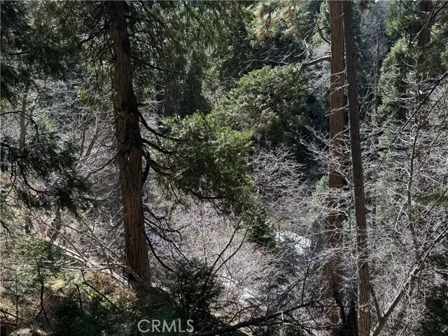 0 Sunderland Court, Lake Arrowhead, CA 92352 - #2
