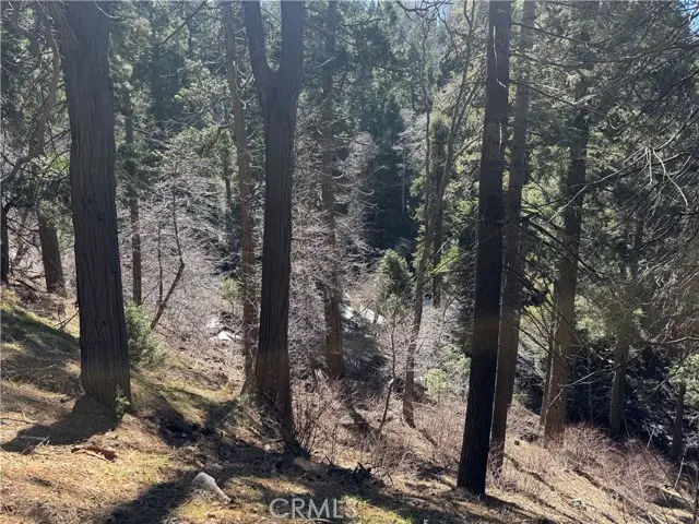 0 Sunderland Court, Lake Arrowhead, CA 92352 - #3