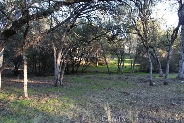 6157 Armijo Avenue, Clearlake, CA 95422 - #3